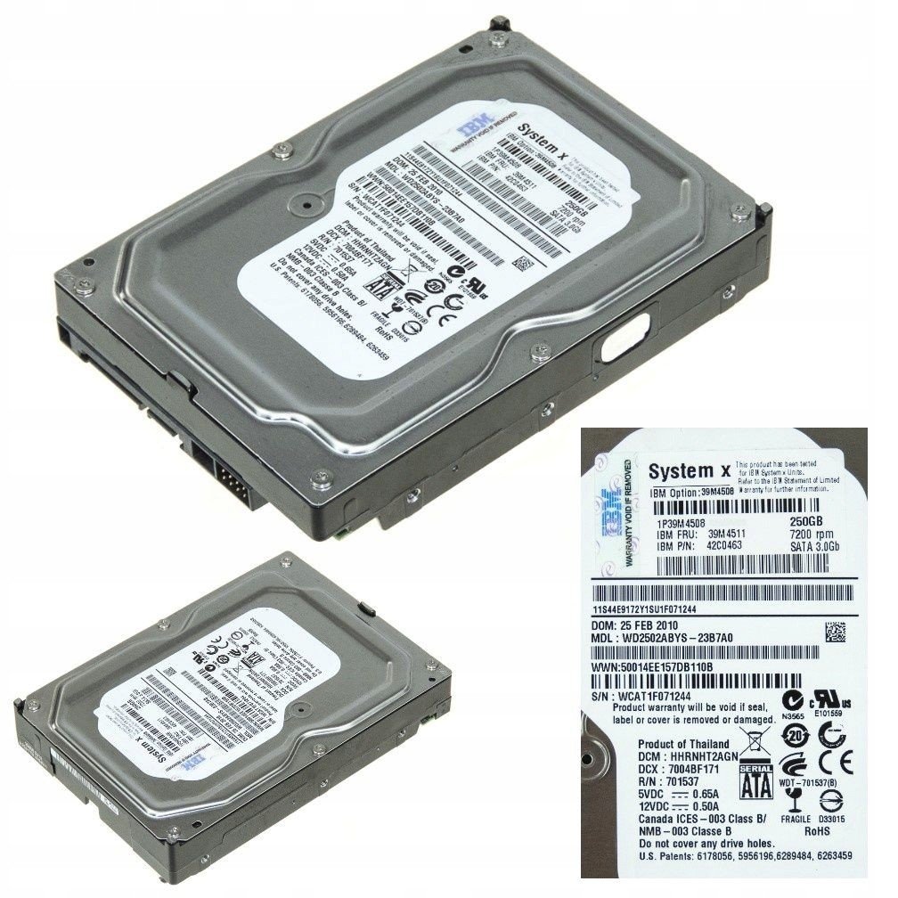 Ibm 39M4511 250 Gb Sata 7200 Rpm 3.5 42C0463