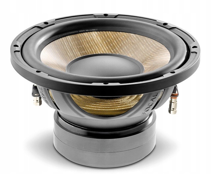 Focal P 25FE Arcybass Made In France Rychlý Blázen