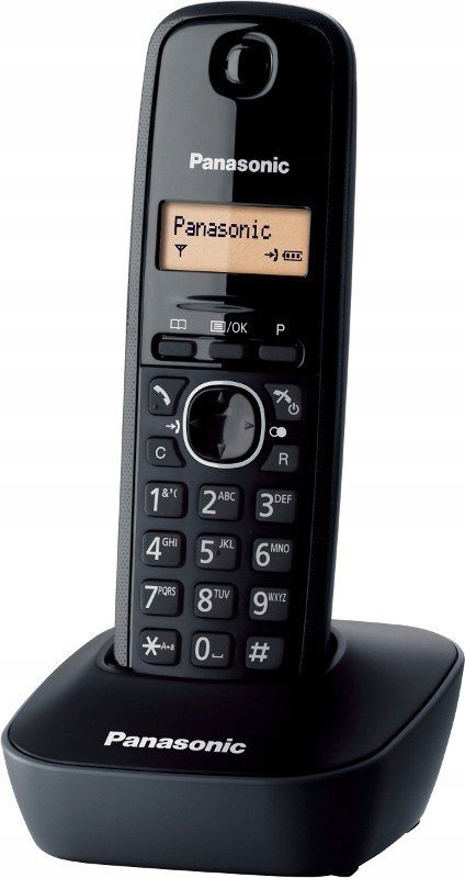 Bezdrátový telefon Panasonic KX-TG1611PDH