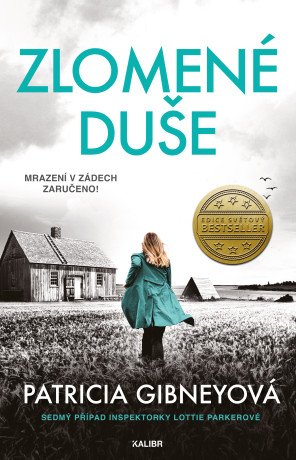 Zlomené duše - Patricia Gibney - e-kniha