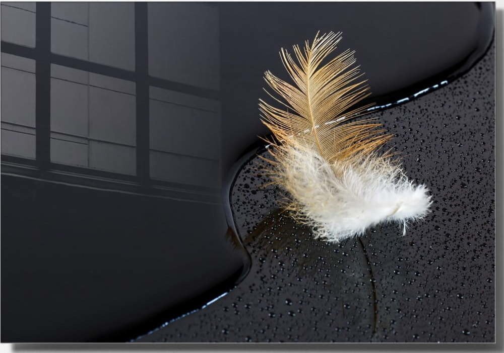 Skleněný obraz 70x50 cm Feather – Wallity