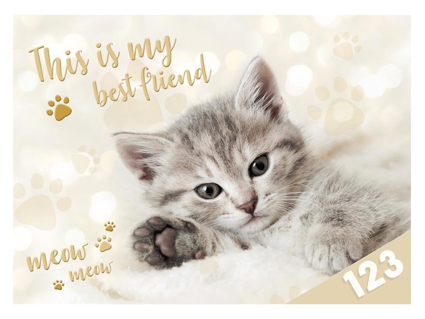 MFP 8021040 Desky na číslice Kočka