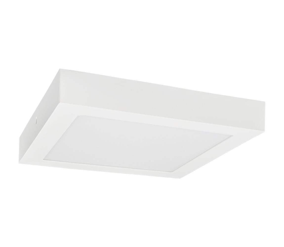 Greenlux LED Stropní svítidlo FENIX LED/24W/230V 3800K 29,8 cm sněhově bílá