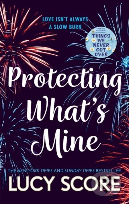 Protecting What's Mine - Lucy Score