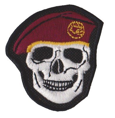 Nášivka lebka - bordó D-34