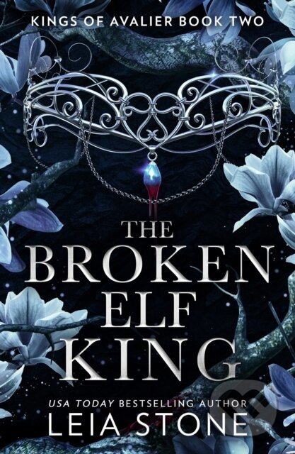The Broken Elf King - Leia Stone