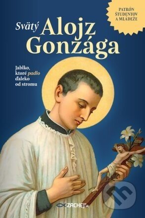 Svätý Alojz Gonzága - Alois Hrudička