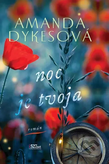 Noc je tvoja - Amanda Dykes