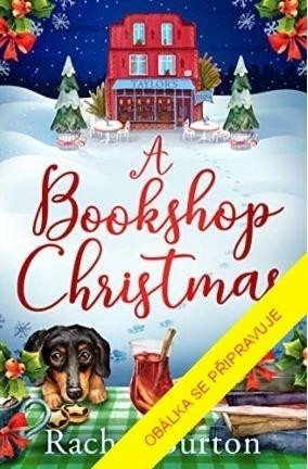 Vánoce mezi knihami - Rachel Burton