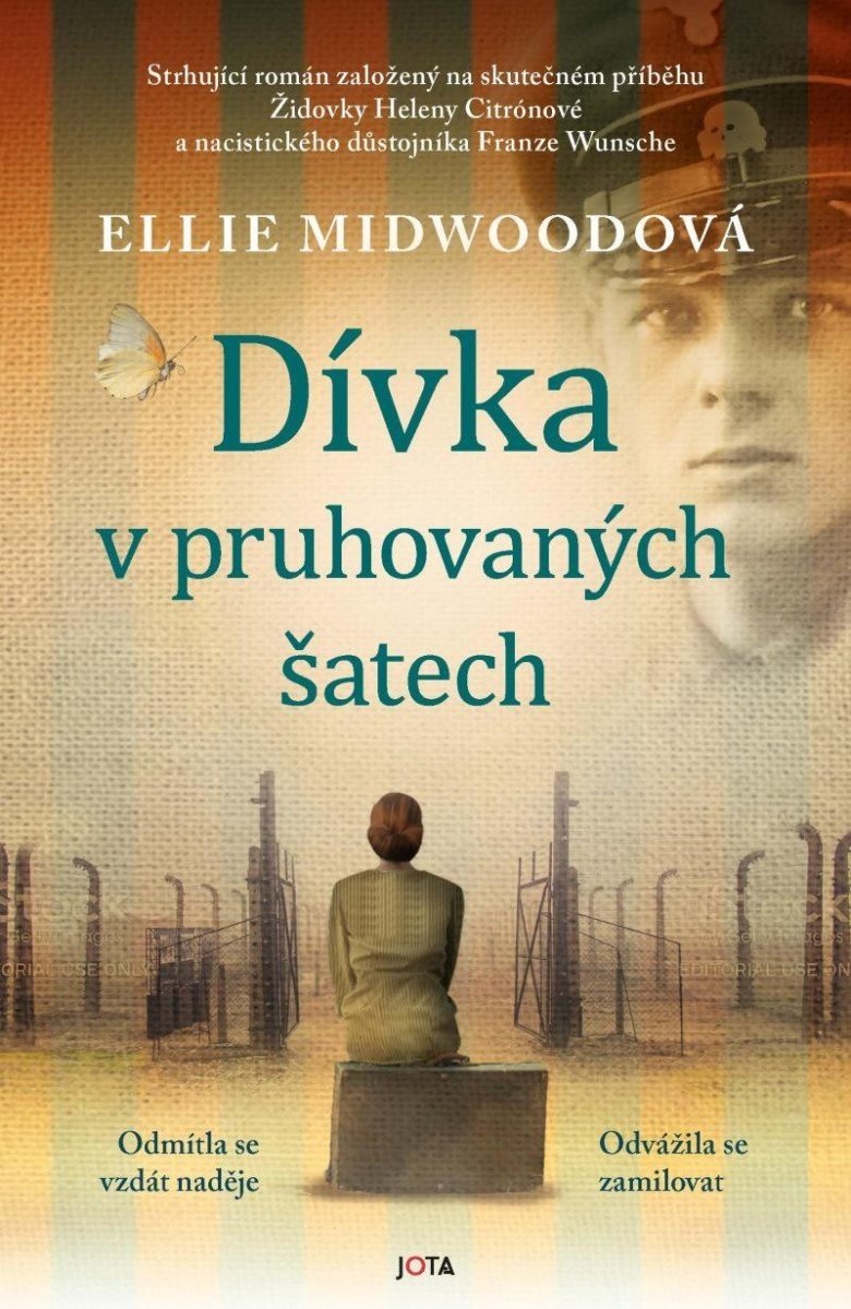 Dívka v pruhovaných šatech - Ellie Midwoodová