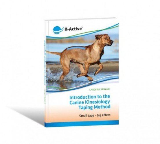 K-Active Kineziologické tejpování psů