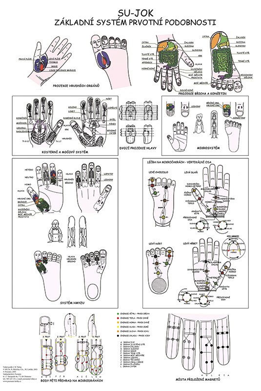 Vydavatelství Poznání Anatomická mapa - Su-Jok Základní systém prvotní podobnosti
