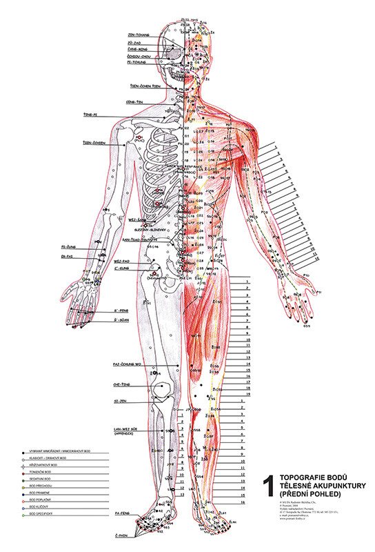 Vydavatelství Poznání Anatomické mapy - Topografie aku bodů