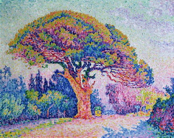 Paul Signac Paul Signac - Obrazová reprodukce The Pine Tree at St. Tropez, 1909, (40 x 30 cm)