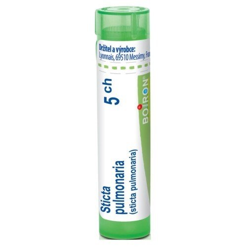 STICTA PULMONARIA 5CH granule 4G