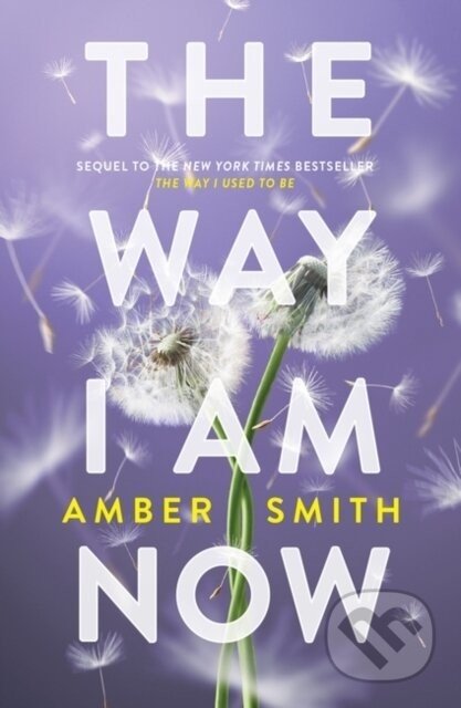 The Way I Am Now - Amber Smith