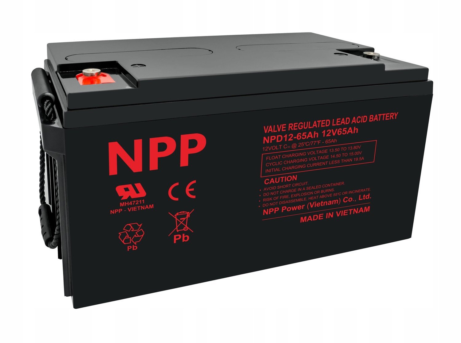 Baterie Npd 12V 65Ah T14 Npp série Deep pasta