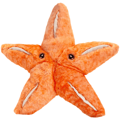 KEEL SE1015 - Mořská hvězdice 25 cm