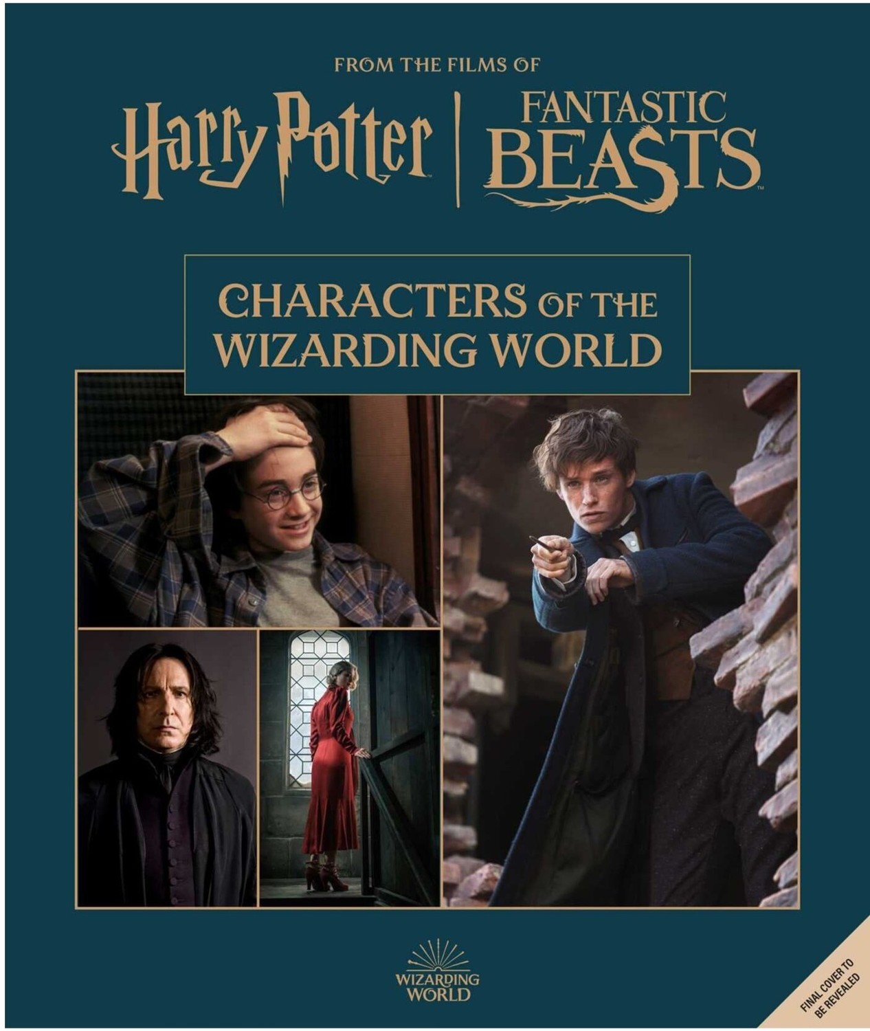 Kniha Harry Potter - The Characters of the Wizarding World, ENG - 09781803368191