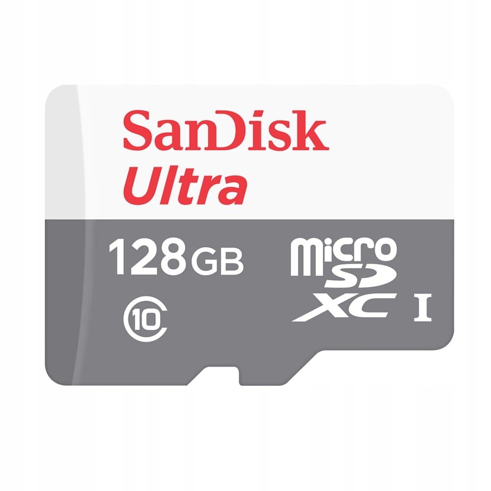 Paměťová karta Sdxc SanDisk SDSQUNR-128G-GN6MN 128