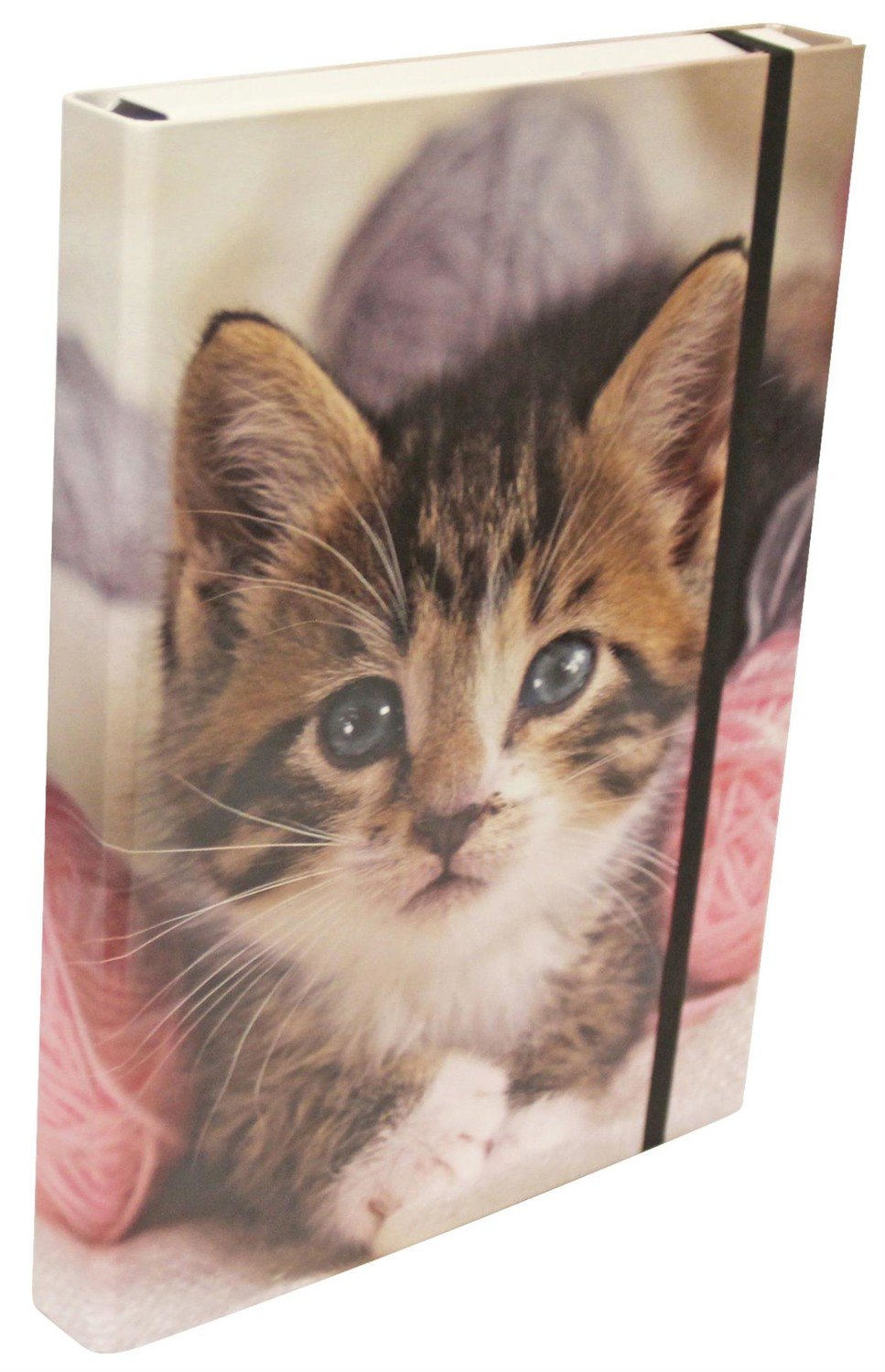 Box na spisy - A4, 4 cm, kotě