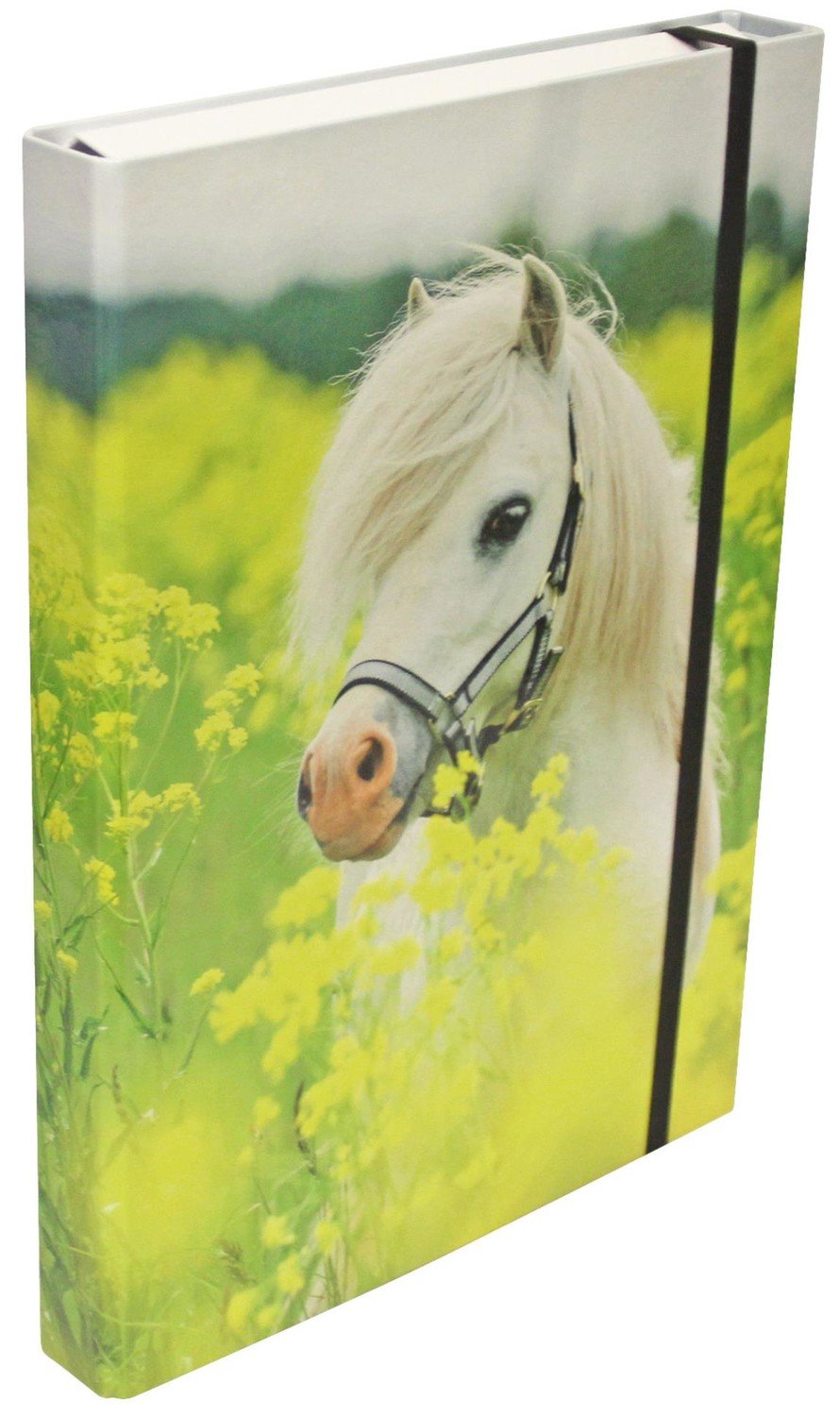 Box na spisy - A4, 4 cm, pony