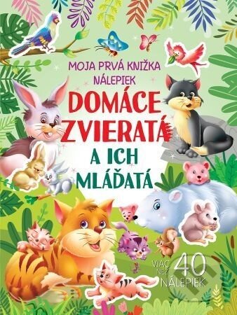 Domáce zvieratá a ich mláďatá - Foni book