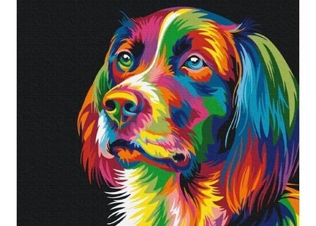 Symag Obraz Malování podle čísel - Pes v barvách