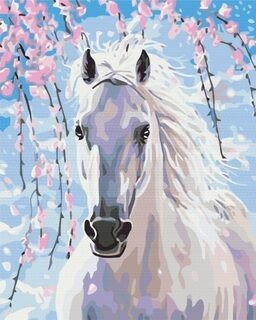 Symag Obraz Paint it! Malování podle čísel - Kůň v třešňových květech
