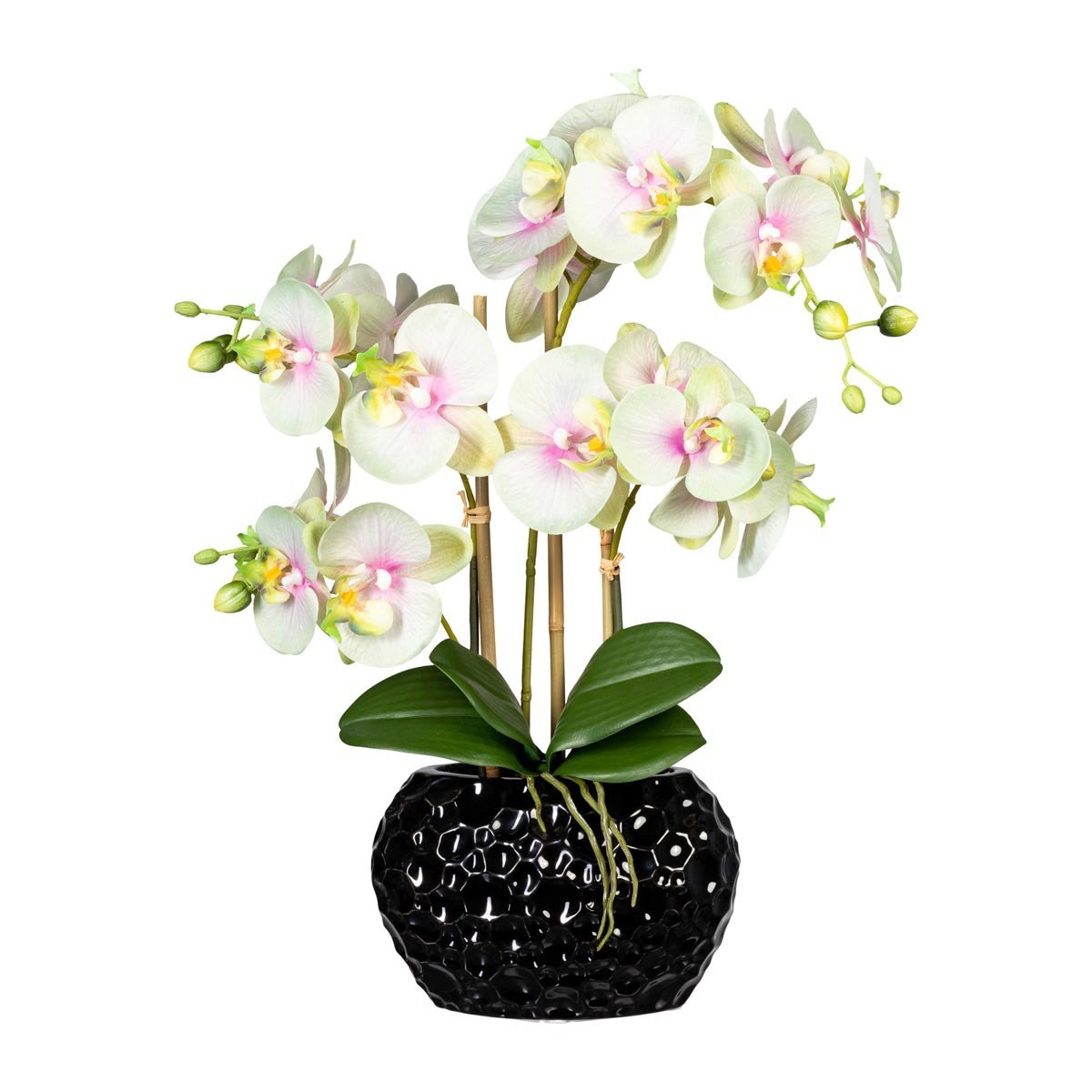 Gasper Umělá květina Orchidej 55 cm, krémově zelená
