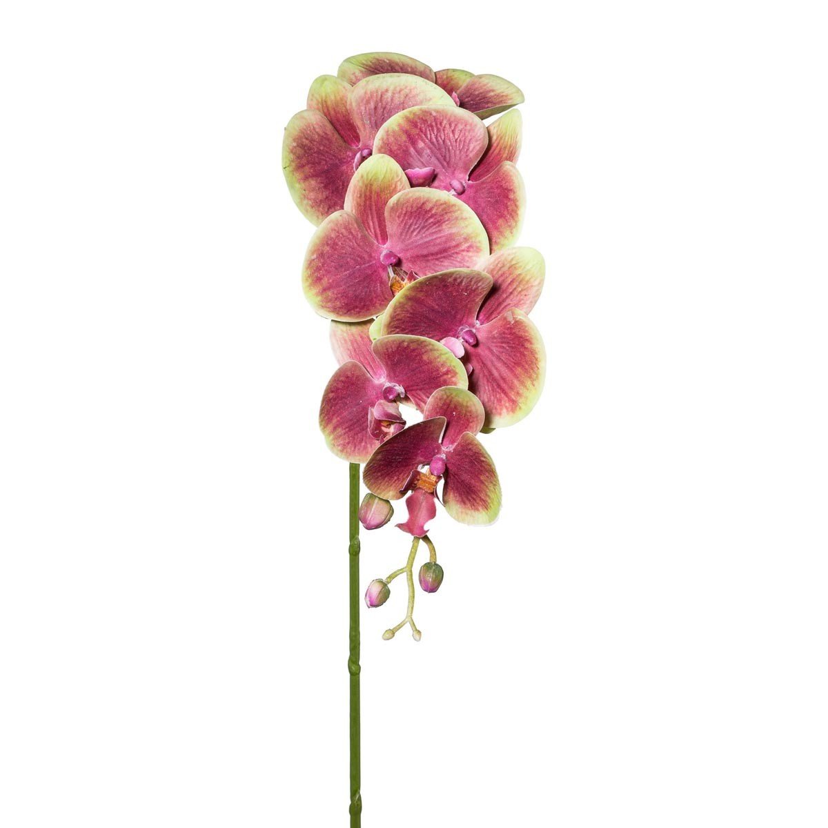 Gasper Umělá orchidej 3D, 87 cm