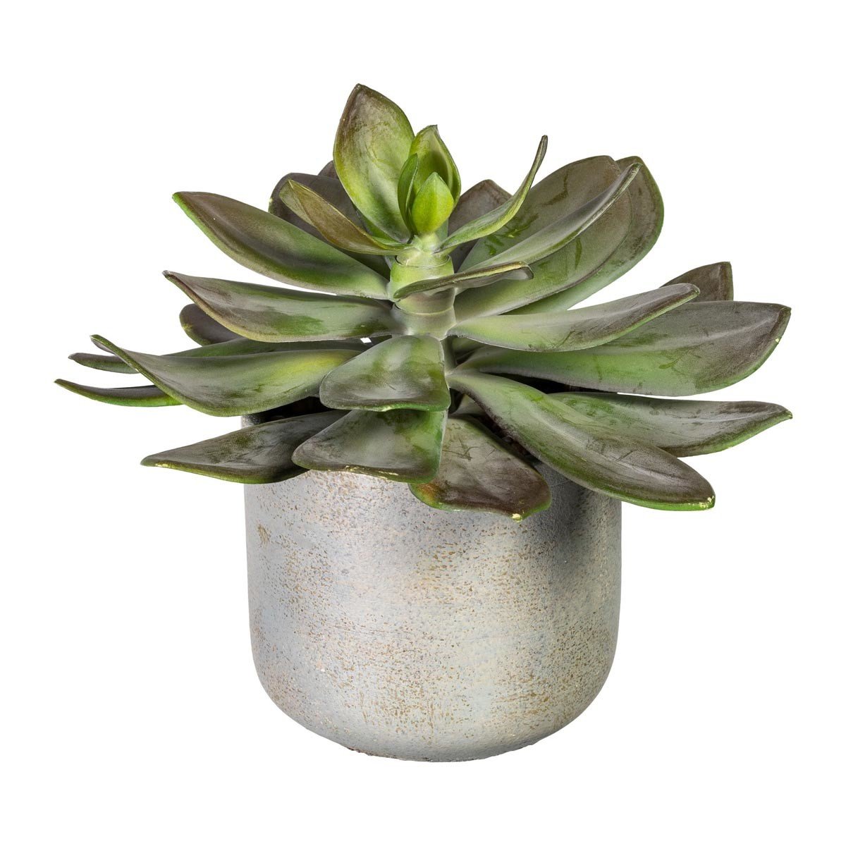 Gasper Umělá květina Echeveria XL