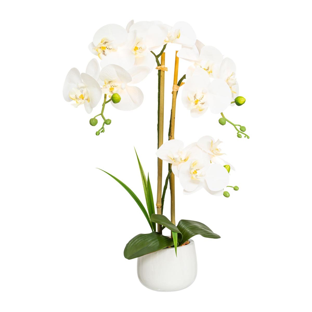 Gasper Umělá květina Orchidej 60 cm s 11 LED, krémová