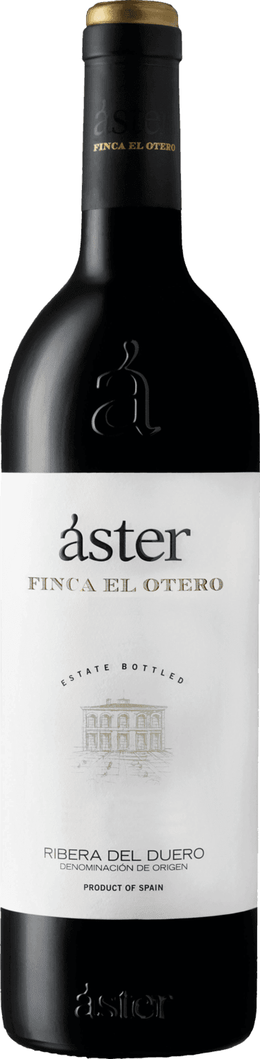 Aster Finca El Otero 2018