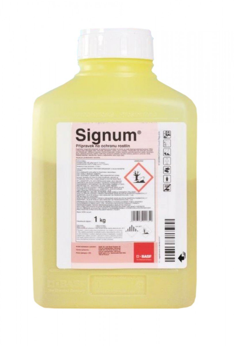 Signum 1 kg