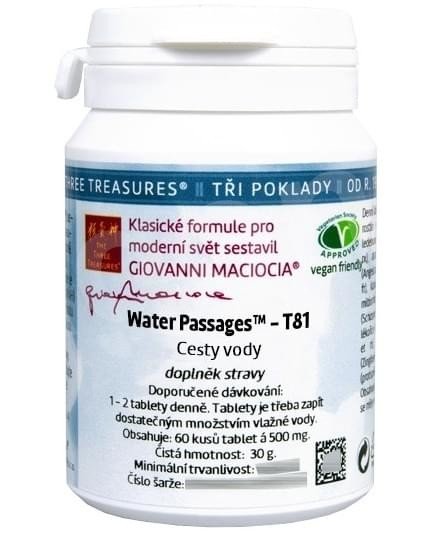 Giovanni Maciocia - T81 - Cesty vody 60 tbl