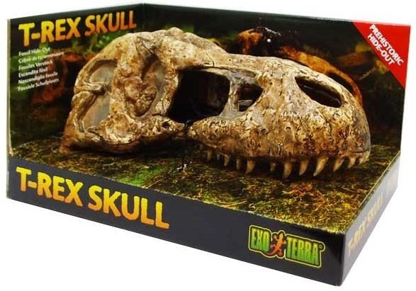 Exo Terra T-rex Skull Lebka Dinosaurus Dekorace