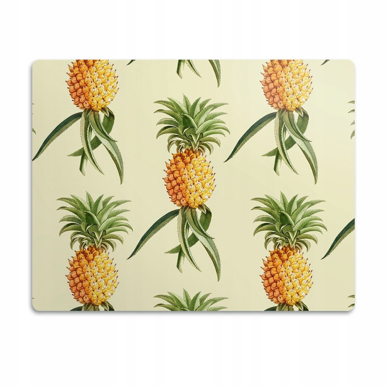 Podložka pod misku pro psa a kočku Ovoce ananas 90x60 cm
