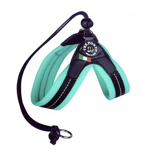 Tre Ponti Postroj pro psa Kočka 3 nastavitelná máta