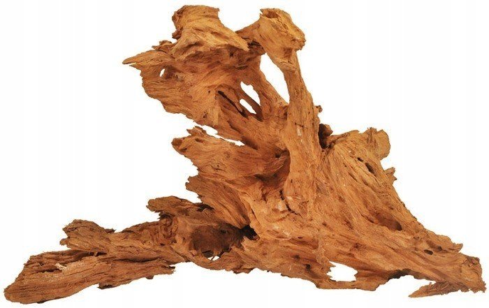 Kořen Mangrowiec L Happet 40-60 cm