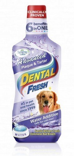 Dental Fresh Kámen & Osad 503ml