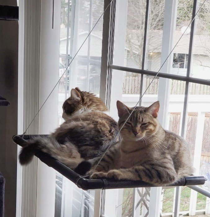 Houpací Síť Pro Kočky Na Okno Letní Dárek Relax Kotě