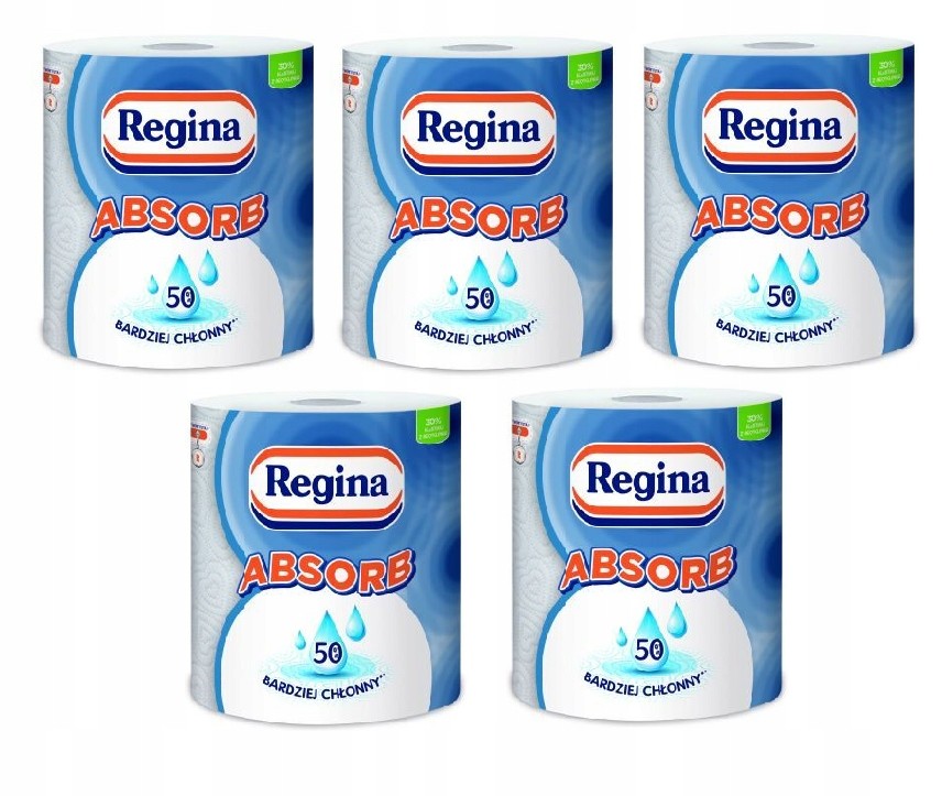 Regina papírový ručník Absorb x5