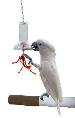 Spryciulak logická hračka bufet pro papouška