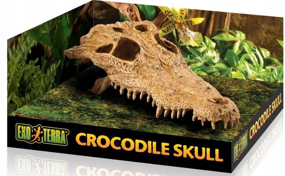 Dekor Krokodýlí Lebky Jakosć Real