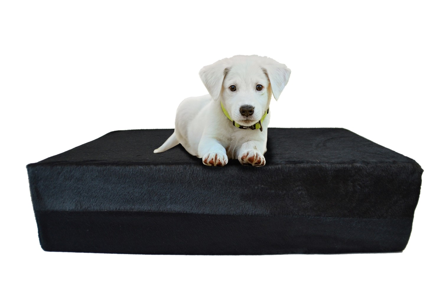 Klasický pelíšek pro psa 100x80 vysoký 10 cm