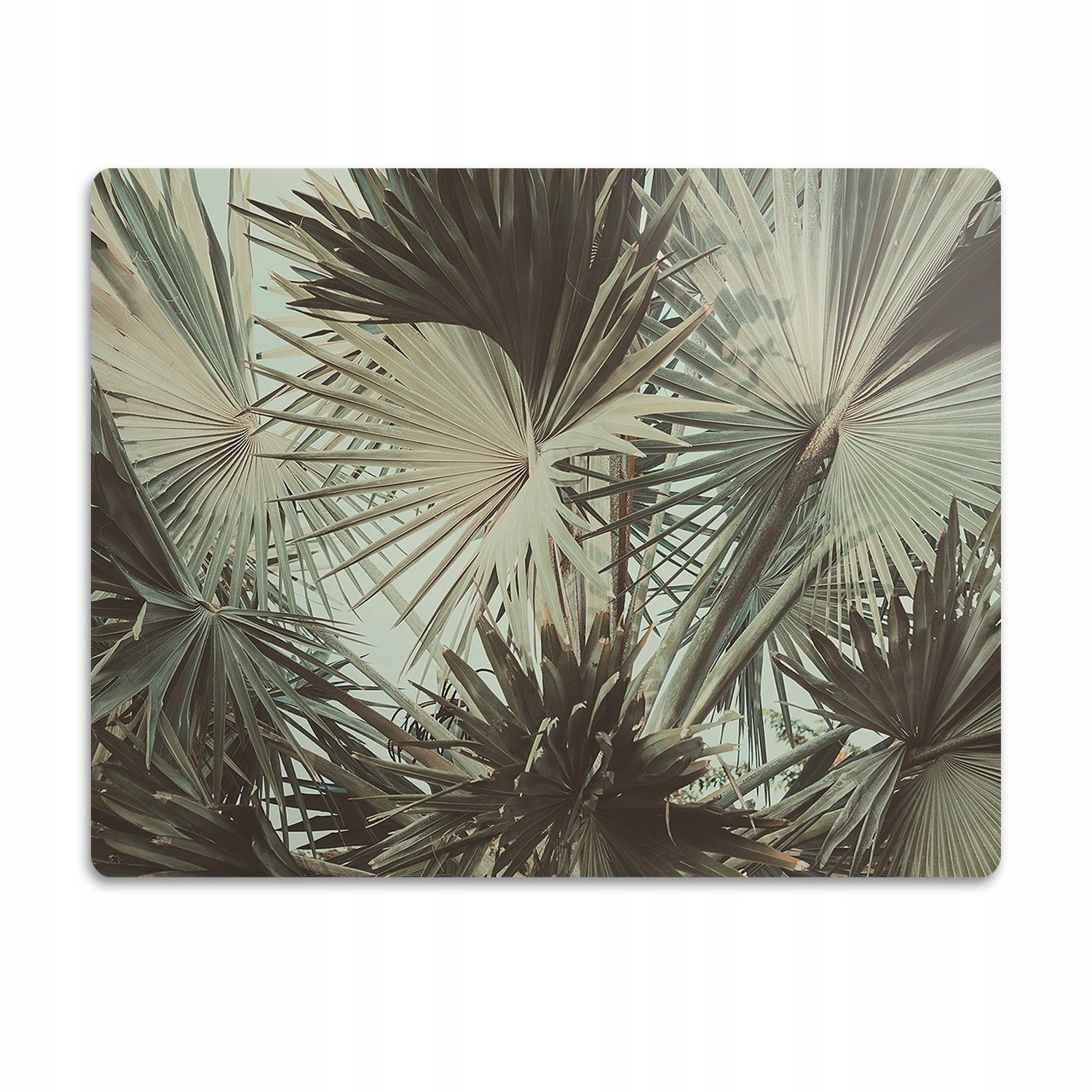 Ochranná podložka pod psí misky Palmy listy 90x60