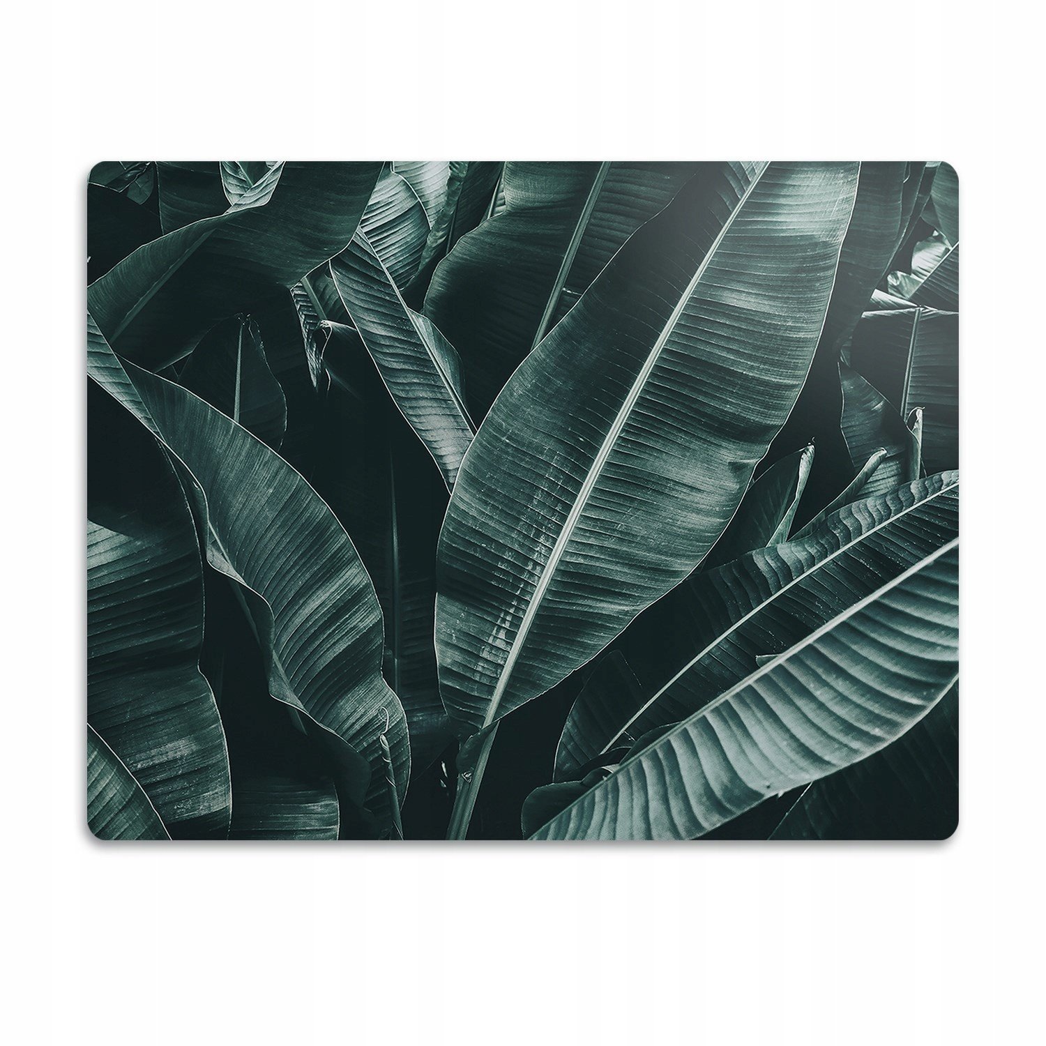 Podložka pod misku Exotické listy 90x60 cm