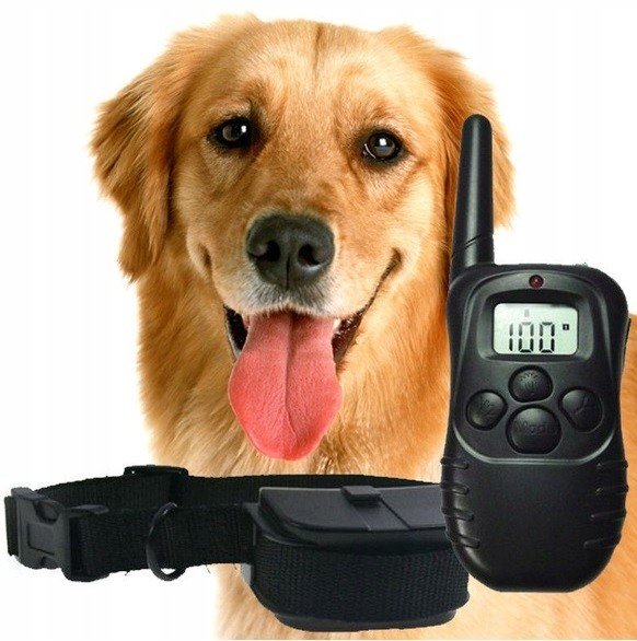 Elektronická tréninková pomůcka pro Psa