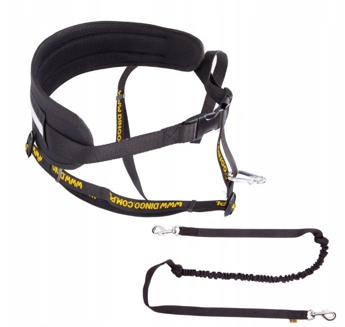 Dingo Set běžeckého pásu vodítko černé